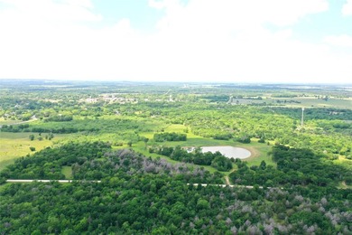 Rare find in the city limits of Wortham TX! - 47.78 spectacular - photo 6