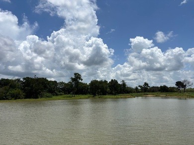 Rare find in the city limits of Wortham TX! - 47.78 spectacular - photo 8