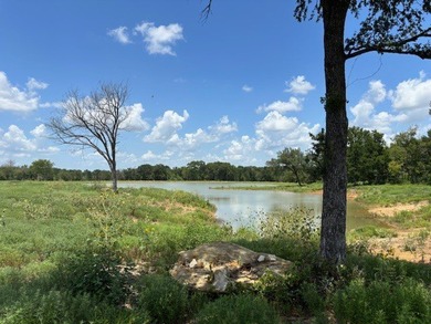 Rare find in the city limits of Wortham TX! - 47.78 spectacular - photo 9