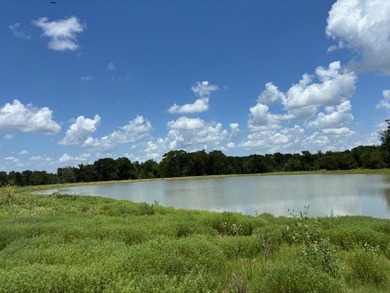 Rare find in the city limits of Wortham TX! - 47.78 spectacular - photo 10