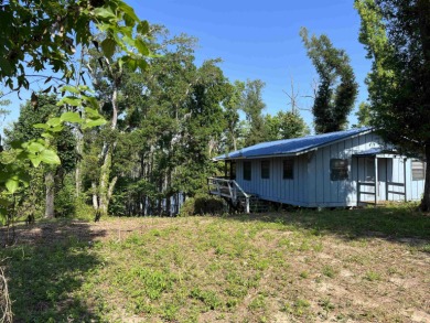 (private lake, pond, creek) Home For Sale in Grand Ridge Florida