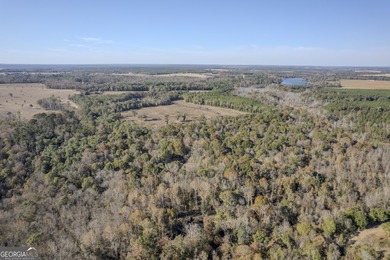 (private lake, pond, coastal) Acreage For Sale in East Dublin Georgia