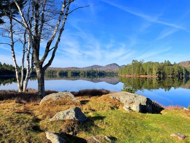 For the first time since the Gilded Age, the iconic Whitney Park - photo 12