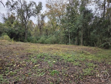 BUILDABLE RESIDENTIAL LOT IN EAST SAVANNAH IS NOW AVAILABLE! - photo 2