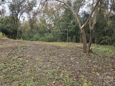BUILDABLE RESIDENTIAL LOT IN EAST SAVANNAH IS NOW AVAILABLE! - photo 3