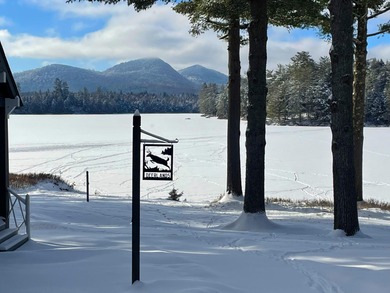 For the first time since the Gilded Age, the iconic Whitney Park - photo 24