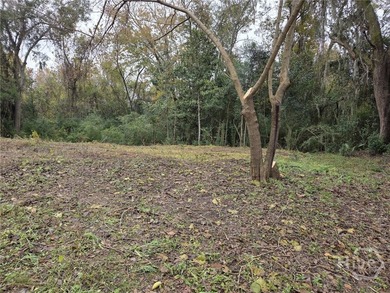 BUILDABLE RESIDENTIAL LOT IN EAST SAVANNAH IS NOW AVAILABLE! - photo 4