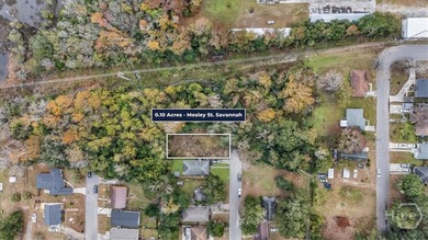 BUILDABLE RESIDENTIAL LOT IN EAST SAVANNAH IS NOW AVAILABLE! - photo 8