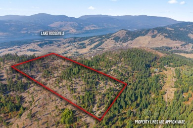 Lake Acreage For Sale in Rice, Washington