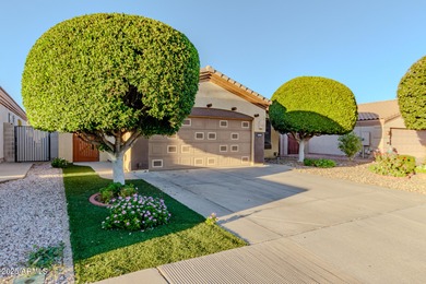 (private lake, pond, creek) Home For Sale in Surprise Arizona