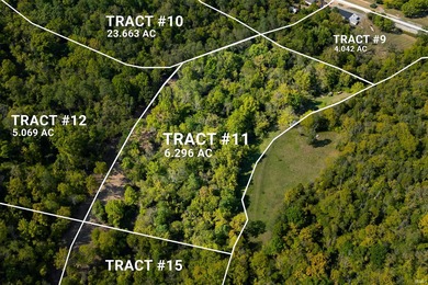 Ohio River Acreage For Sale in Patriot Indiana