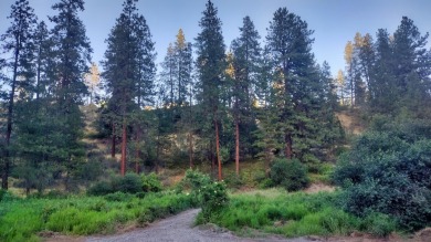 Lake Acreage For Sale in Lincoln, Washington