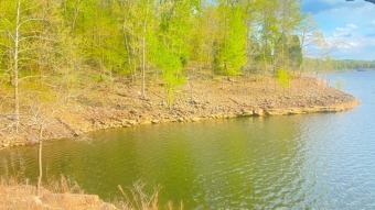 24.572 acres known to some as the Crown Jewel of Rough River!  - Lake Acreage For Sale in Falls Of Rough, Kentucky
