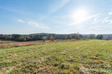 Ideally located only 3 minutes from the Tryon Int'l Equestrian - photo 11