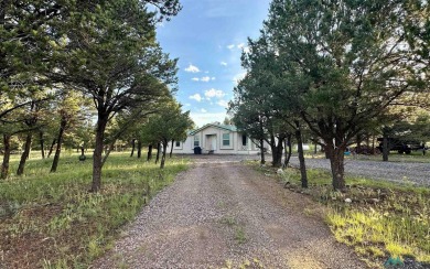 Quemado Lake Home Sale Pending in Quemado New Mexico