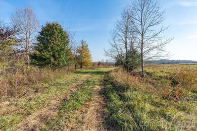 Ideally located only 3 minutes from the Tryon Int'l Equestrian - photo 15