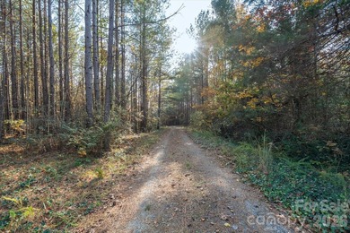 Ideally located only 3 minutes from the Tryon Int'l Equestrian - photo 16