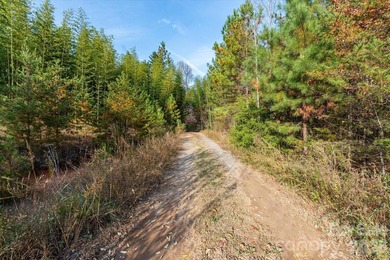Ideally located only 3 minutes from the Tryon Int'l Equestrian - photo 17