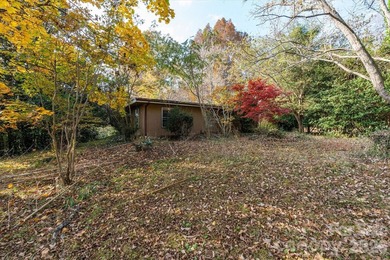 Ideally located only 3 minutes from the Tryon Int'l Equestrian - photo 18