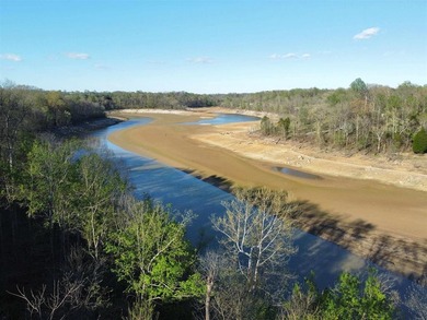 Enjoy stunning Rough River Lake Views!! - photo 19