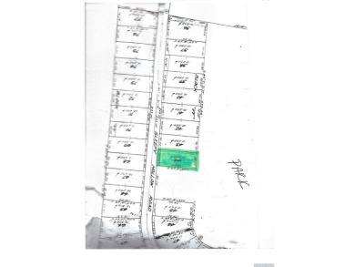 Nicely wooded, level building lot @ Sleepy Hollow Lake.  Lot is - Lake Lot For Sale in Athens, New York