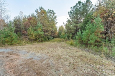 Ideally located only 3 minutes from the Tryon Int'l Equestrian - photo 23