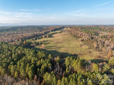 Ideally located only 3 minutes from the Tryon Int'l Equestrian - photo 25