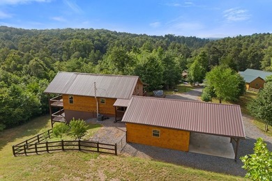 MOUNTAIN CABIN - Beautiful home offering open concept with - photo 32
