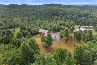 MOUNTAIN CABIN - Beautiful home offering open concept with - photo 35
