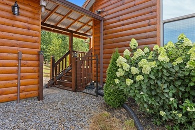 MOUNTAIN CABIN - Beautiful home offering open concept with - photo 38