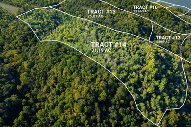 Ohio River Acreage For Sale in Patriot Indiana