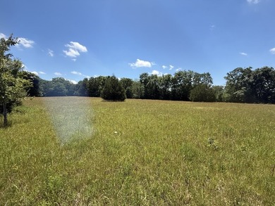 Gorgeous Level Building lot in Maple Point Subdivision. This 0 - photo 3