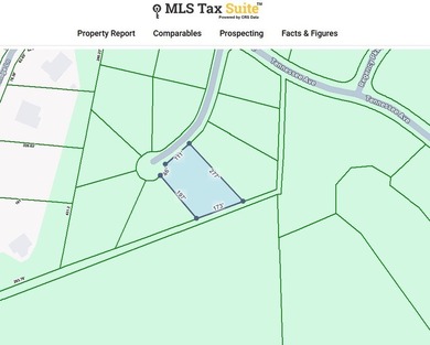 Gorgeous Level Building lot in Maple Point Subdivision. This 0 - photo 4