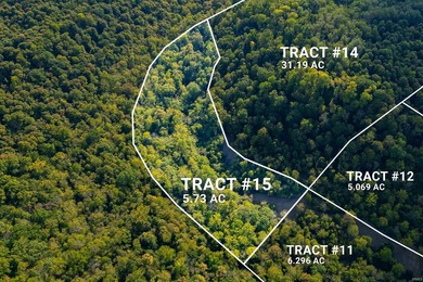 Ohio River Acreage For Sale in Patriot Indiana