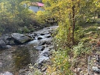 Lake Home For Sale in Kettle Falls, Washington