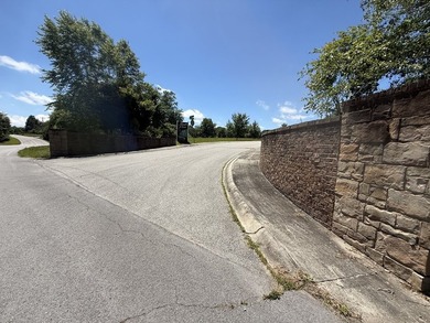 This Gorgeous, level building lot is the perfect location for - photo 2