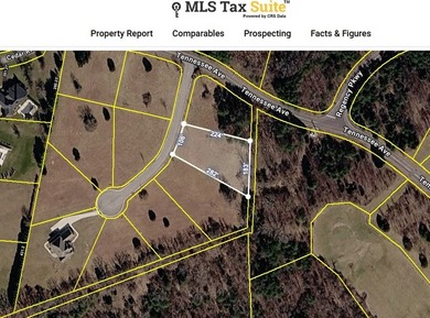 This Gorgeous, level building lot is the perfect location for - photo 4