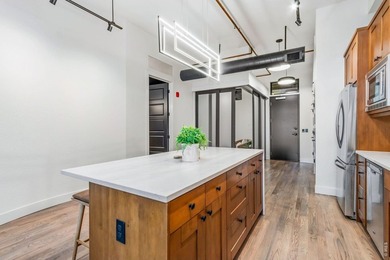 Welcome to this freshly remodeled high-end luxury loft in the - photo 12