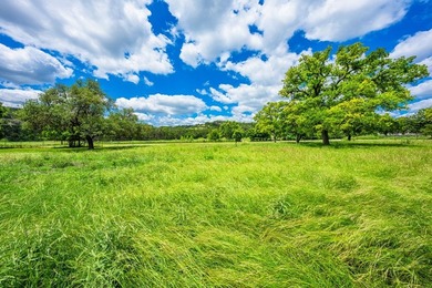 This peaceful property is just minutes from town offering both - photo 20