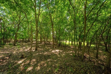 This peaceful property is just minutes from town offering both - photo 22