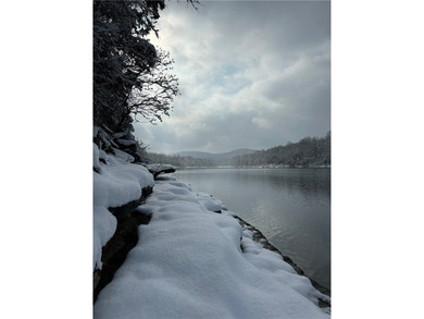 Lot with House Plans! Where the Pavement Ends and the Lake - photo 7