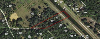 Lake Acreage Sale Pending in Hernando, Florida