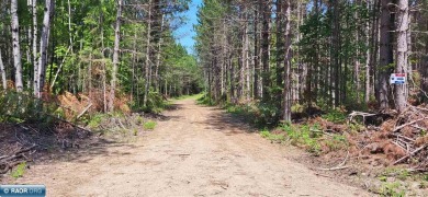 Great hunting and recreational property. 52.62 undeveloped - Lake Acreage For Sale in Orr, Minnesota