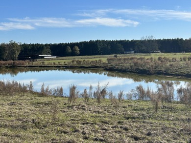 (private lake, pond, coastal) Acreage Sale Pending in Ovett Mississippi