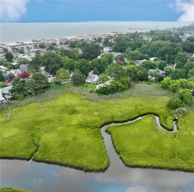 Build your dream home and enjoy all that Coastal Virginia has to - photo 1