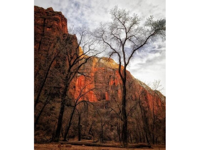 Virgin River Commercial For Sale in Springdale Utah