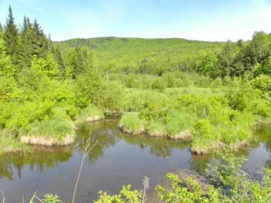 Lake Acreage Off Market in Eden, Vermont