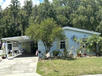 (private lake, pond, creek) Home For Sale in Lakeland Florida