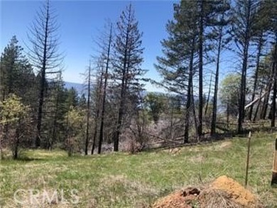 (private lake, pond, creek) Acreage For Sale in Lucerne California