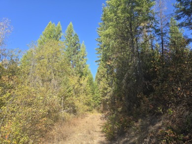 Lake Acreage For Sale in Kettle Falls, Washington